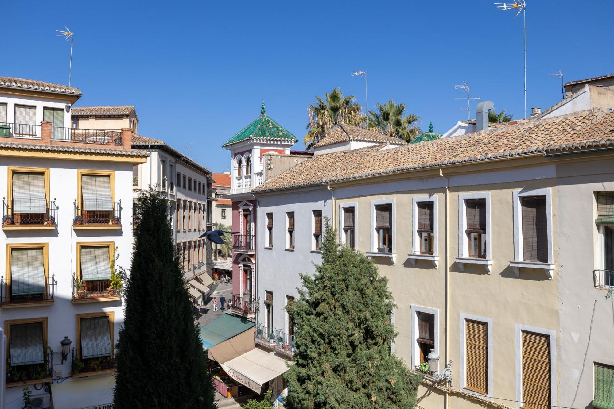 Royal View Appartamento *